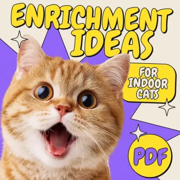 c0694d4d73d74db8a00c887f8aef9bde.webp-350x350.webp